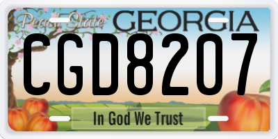 GA license plate CGD8207