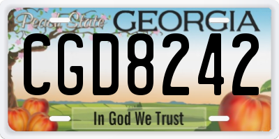 GA license plate CGD8242