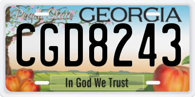 GA license plate CGD8243