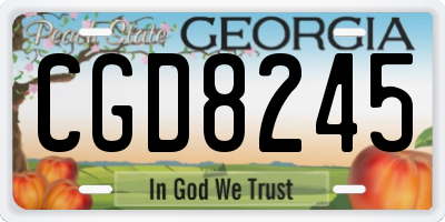 GA license plate CGD8245