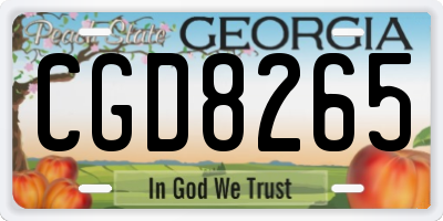GA license plate CGD8265