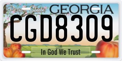 GA license plate CGD8309