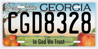GA license plate CGD8328