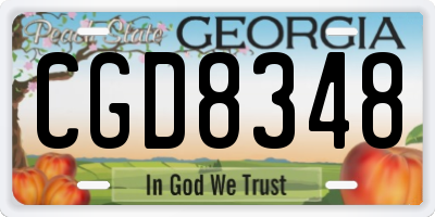 GA license plate CGD8348