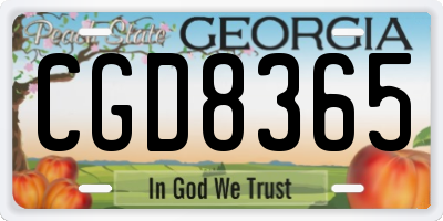 GA license plate CGD8365