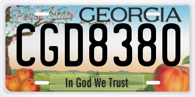 GA license plate CGD8380