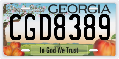 GA license plate CGD8389