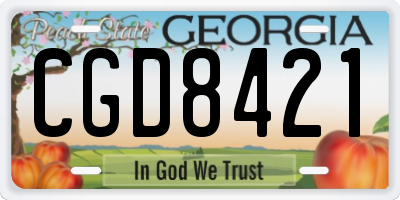 GA license plate CGD8421