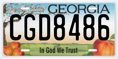 GA license plate CGD8486