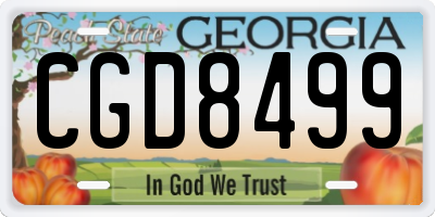 GA license plate CGD8499