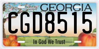 GA license plate CGD8515