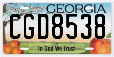 GA license plate CGD8538