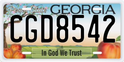 GA license plate CGD8542