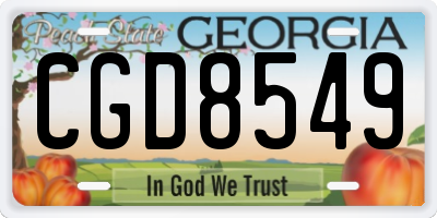 GA license plate CGD8549