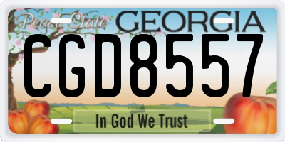 GA license plate CGD8557