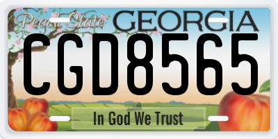 GA license plate CGD8565