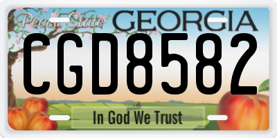 GA license plate CGD8582