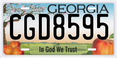 GA license plate CGD8595