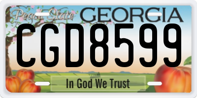 GA license plate CGD8599