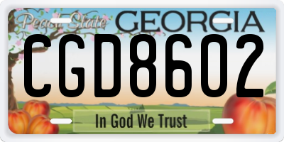 GA license plate CGD8602