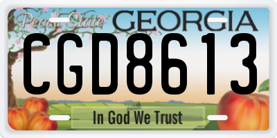 GA license plate CGD8613