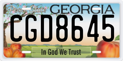 GA license plate CGD8645