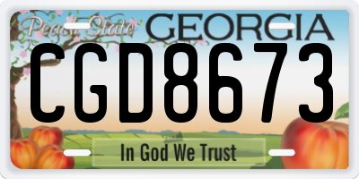 GA license plate CGD8673