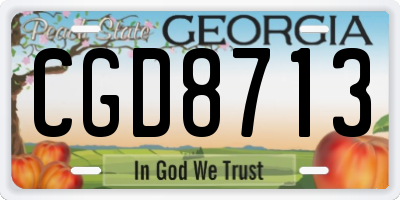GA license plate CGD8713