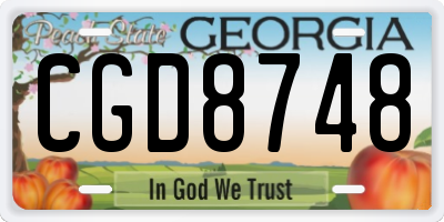 GA license plate CGD8748
