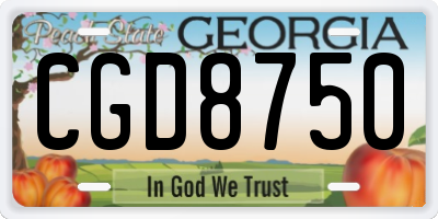 GA license plate CGD8750