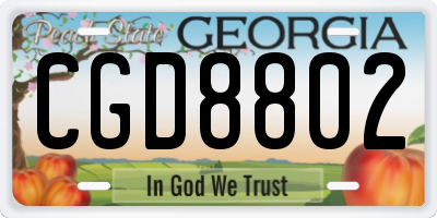 GA license plate CGD8802