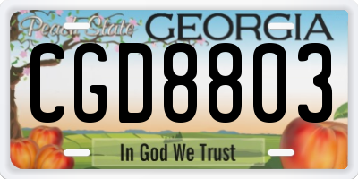 GA license plate CGD8803