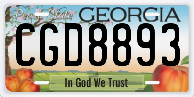 GA license plate CGD8893