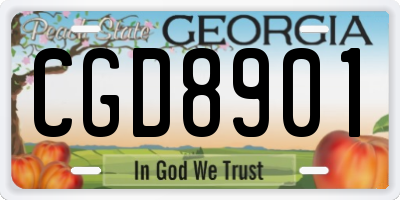 GA license plate CGD8901