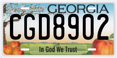 GA license plate CGD8902