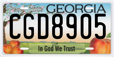 GA license plate CGD8905