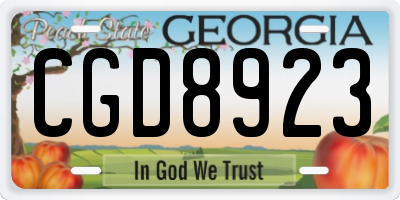 GA license plate CGD8923