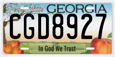 GA license plate CGD8927