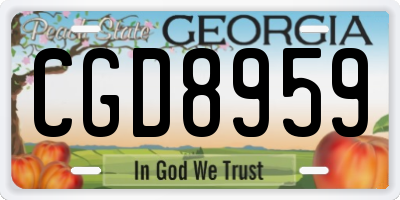 GA license plate CGD8959