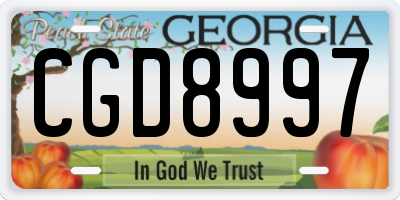 GA license plate CGD8997