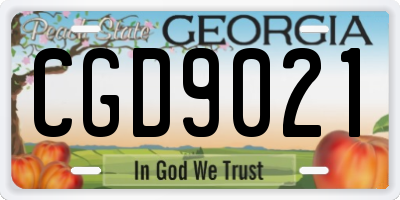 GA license plate CGD9021