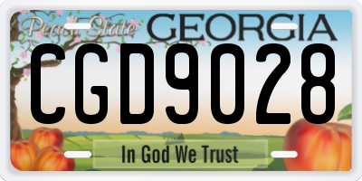 GA license plate CGD9028