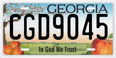 GA license plate CGD9045