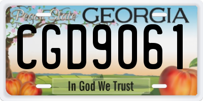 GA license plate CGD9061