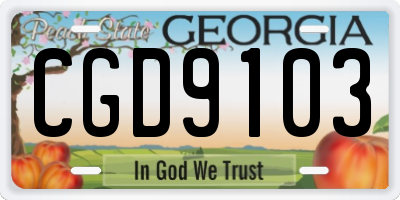 GA license plate CGD9103