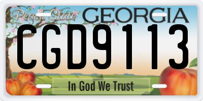 GA license plate CGD9113