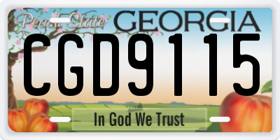 GA license plate CGD9115