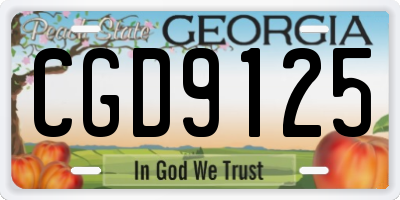 GA license plate CGD9125