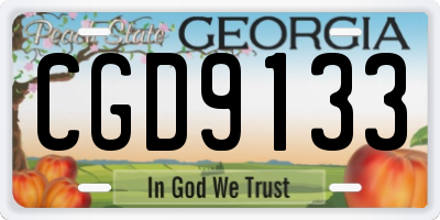 GA license plate CGD9133