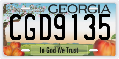 GA license plate CGD9135
